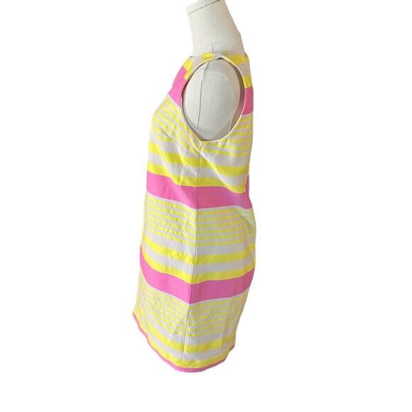 Ann Taylor Loft Corded Dobby Striped Sleeveless Shift Dress Barbiecore  Size 8 - Picture 3 of 8